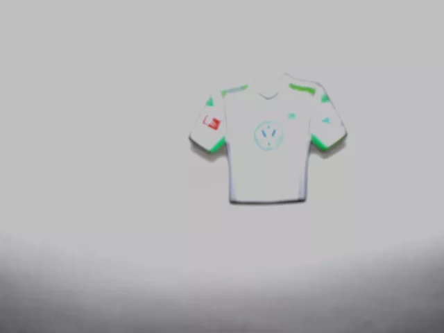 VFL Wolfsburg  PIN Trikot  weiß  Fußball Bundesliga Neu,Lizenzware