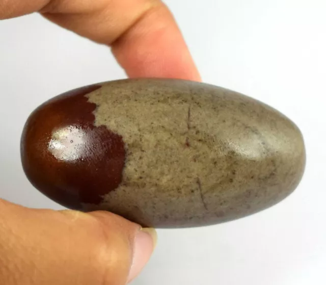 2.09" Natural 57.70 Gram Shiva Lingam Crystal Healing Stone Special Lingam