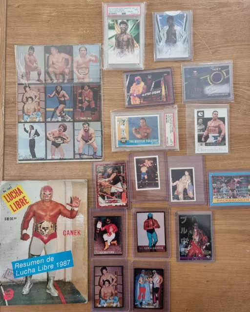 Wrestling Cards Bundle. Rookie Card WWE. WWF Guerrero. CM Punk. Bulldog WCW PSA