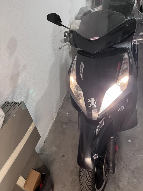 Peugeot GEO RS 250