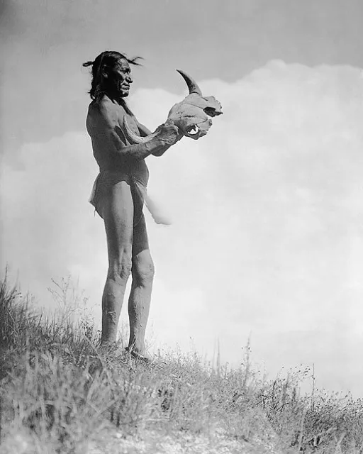 DAKOTA MAN BUFFALO SKULL EDWARD S. CURTIS 8x10 GLOSSY PHOTO PRINT