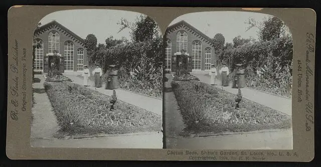 Cactus beds, Shaw's garden, St. Louis, Missouri, U.S.A.  Old Historic Photo 1