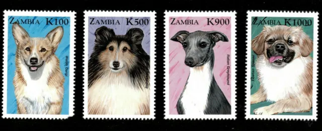 Zambia 1999 - Dogs of The World - Set of 4v - Scott 804-07 - MNH