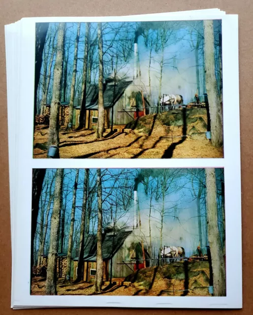 Lot of 20 Vintage Old 1950s Vermont Maple Syrup Camp Large Glossy Postcards