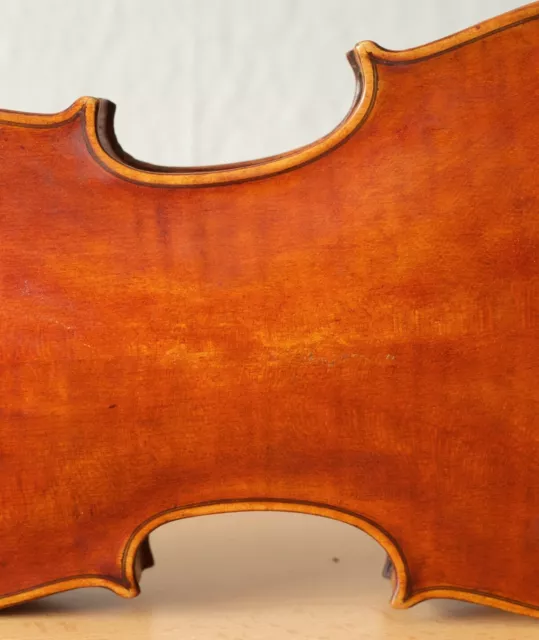 very old vintage 4/4 violin Geige viola cello labeled AVERNA ALFREDO Nr. 959