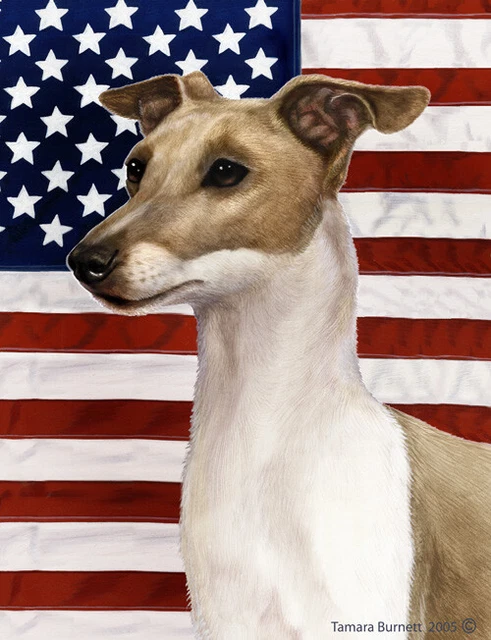 Patriotic (D2) Garden Flag - Italian Greyhound 320651