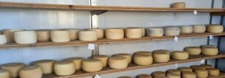 Formaggio Misto Ovino Caprino