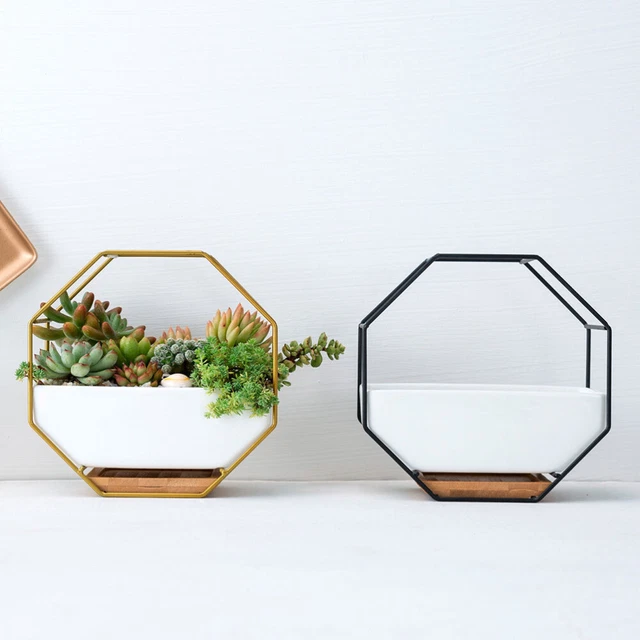 Octagonal Geometric Storage Rack Hanging Wall Glass 2