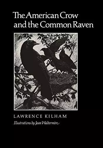 The American Crow & Common Raven (W..., Kilham, Lawrenc