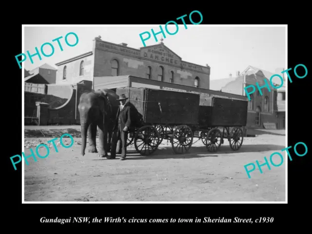OLD LARGE HISTORIC PHOTO OF GUNDAGAI NSW THE WIRTH CIRCUS ELEPHANT c1930