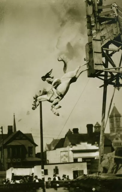 Antique Horse Jump Photo 1062b Odd Strange & Bizarre