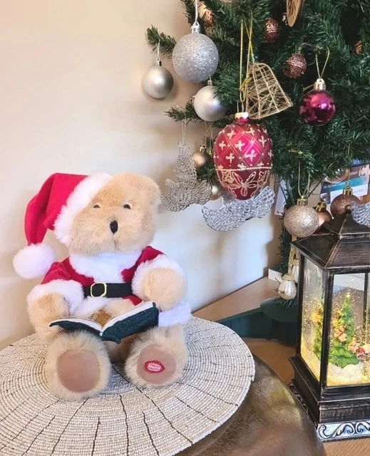 Santa Bear*Reads the Night Before Christmas*2003*Teddy Bear*Working order*8yrs+