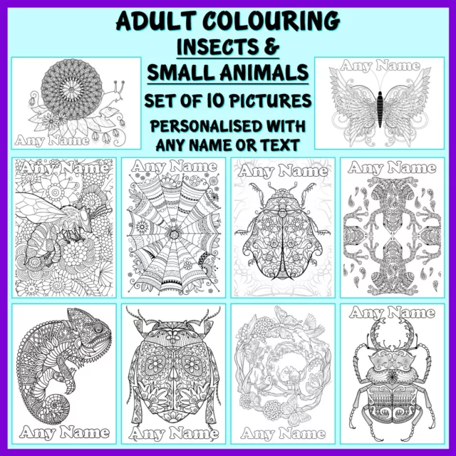 Personalised Adult Colouring - Insects Sml Animal - Set of 10 - Name Gift, Relax