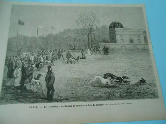 Gravure 19èm - Paris Le Coursing ou Courses de Lévriers Bois de Boulogne