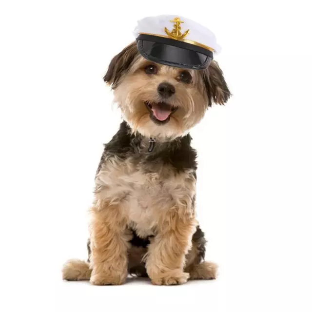 Adjustable Chin Strap Halloween Cap Pet Supplies Dog Visor Hats Cat Costume