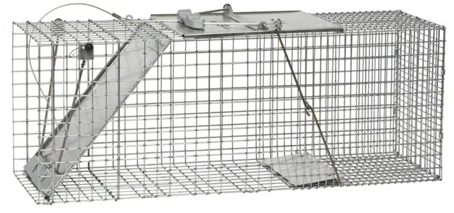 4 Duke DP Dog Proof Coon Traps (Trapping Supplies Raccoon Trap Coons)