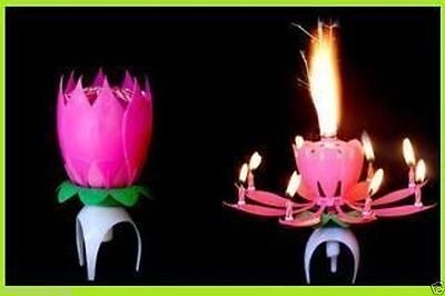 anniversari ECC. Candela Luminosa Fontana Fiaccola 50 Anni Ideale per Compleanni Party Magic Flambè per Torta e Dolci Feste 
