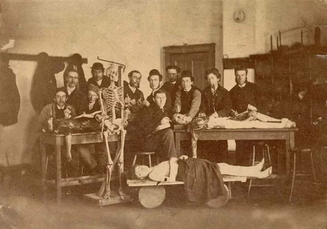 Antique Medical Autopsy Photo 576b Oddleys Strange & Bizarre