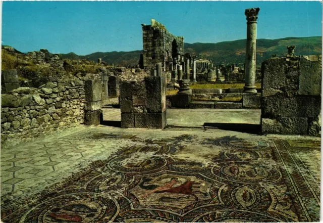 CPM AK MOROC VOLUBILIS - Roman Mosaics (343003)