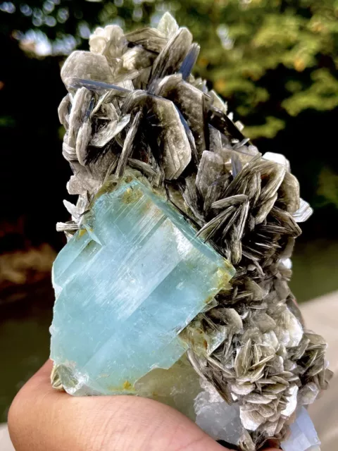 1322 Gram Blue Aquamarine Crystal With Muscovite Combine Specimen @ Minerals