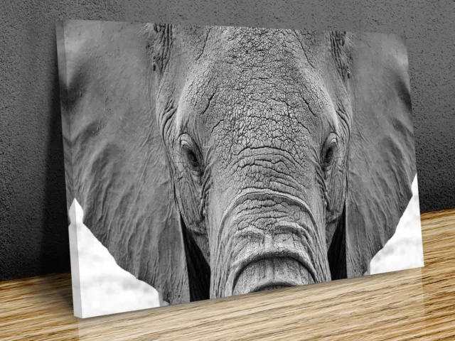 African Elephant print art wall framed or print only