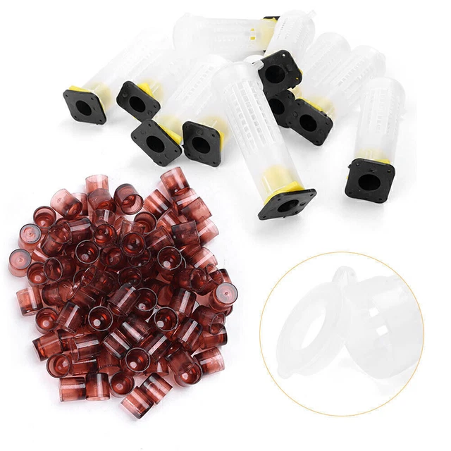 Complete Queen Rearing Cupkit System Bee Beekeeping Catcher Box 100 Cell Cups tb