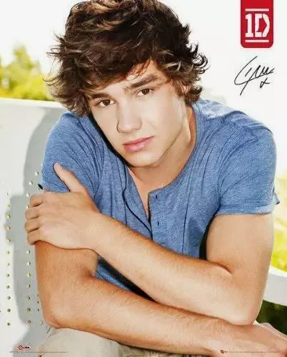 One Direction : Liam - Mini Poster 40cm x 50cm nuevo y sellado