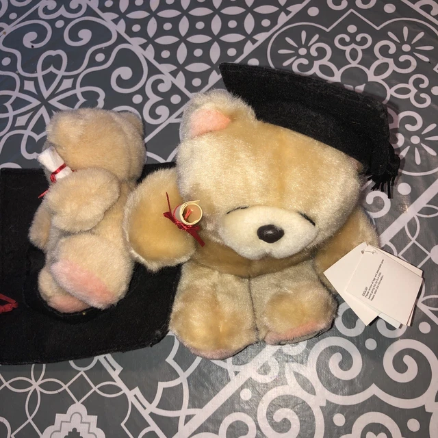 Forever friends clearance graduation bear
