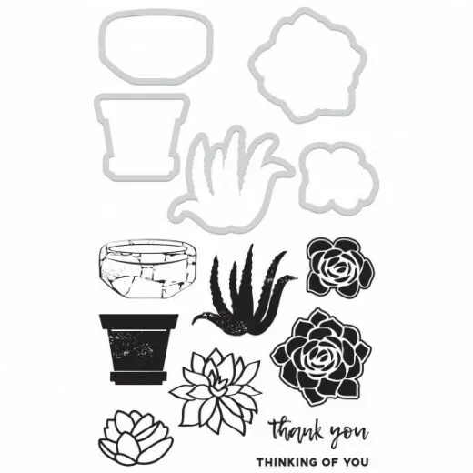 Kaisercraft   SUCCULENTS    Clear Stamp & Die Set   14 pieces  *new*