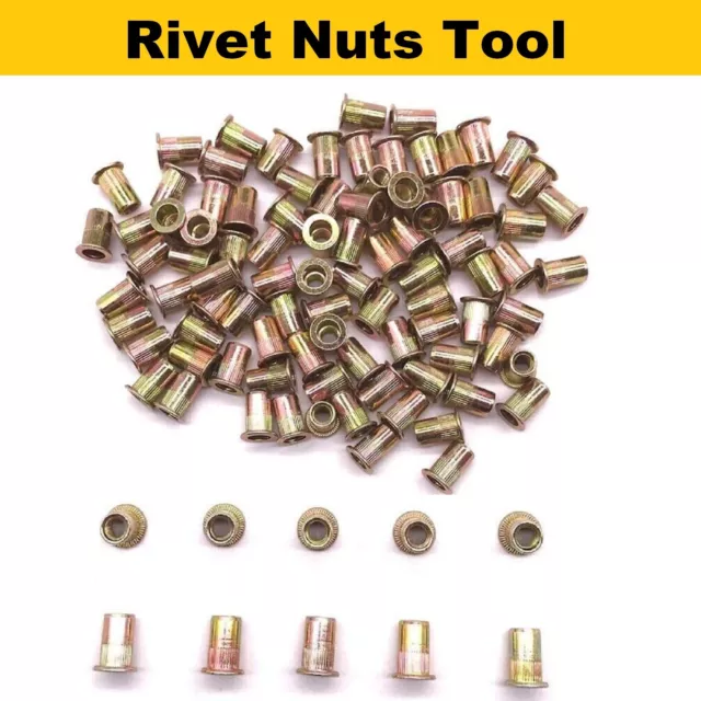 300PCS M3 4 5 6 8 10 12 Rivet Nuts Blind Nut Nutsert Rivnut Steel Zinc Plated AU