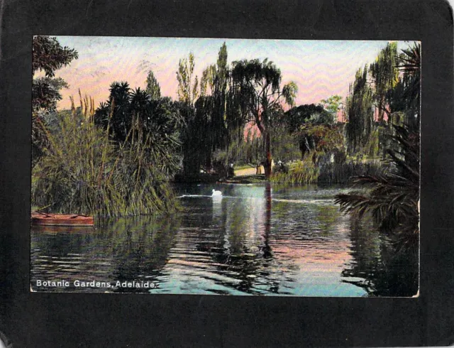 D0422 Australia SA Adelaide Botanic Gardens Pond pu vintage postcard