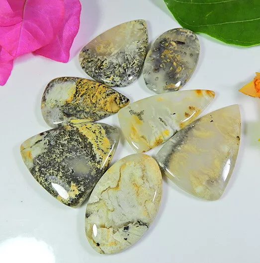 325Cts. Natural Tiger Dendritic Agate Mix Cabochon Loose Gemstone 7 Pcs Lot