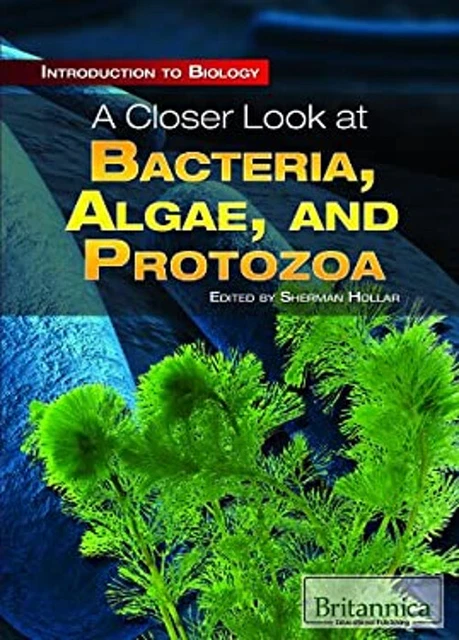 A CLOSER LOOK at Bacteria, Algae, and Protozoa Library Binding Sh £20. ...