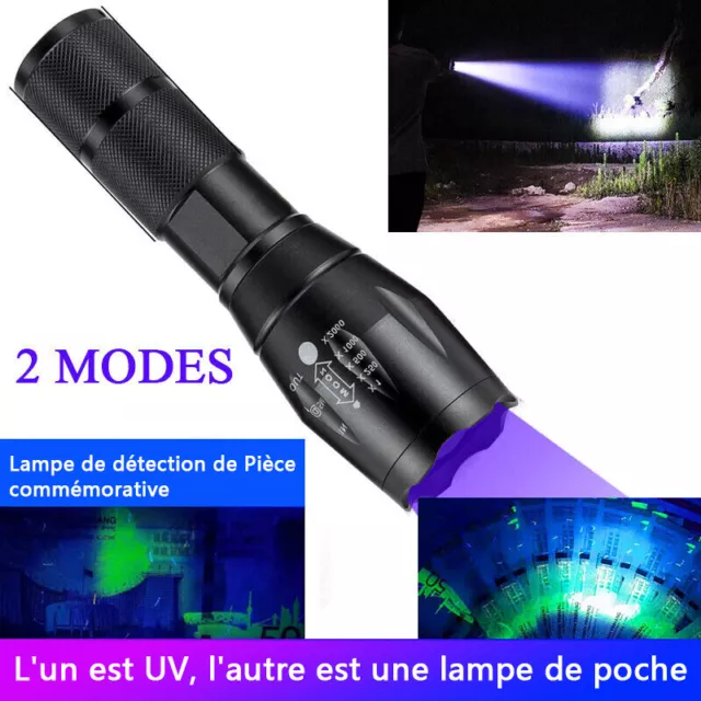2 en 1 Ultra Violet Lampe Puissante Torche LED Noire Lumière UV Lampe De Poche