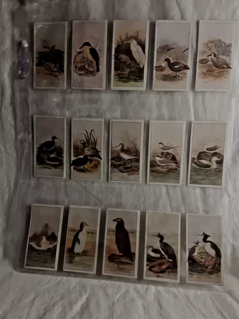 WD & HO Wills Cigarette Cards New Zealand Birds, Complete set of 50  Free Post!