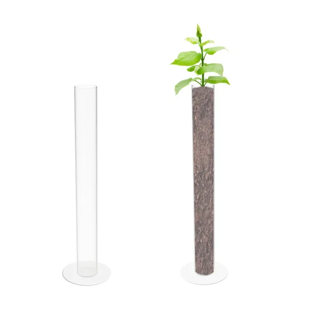Clear Tube Planter Tall Vase DIY Kit Aqurarium Terrarium 36X4"TubeX8" Base