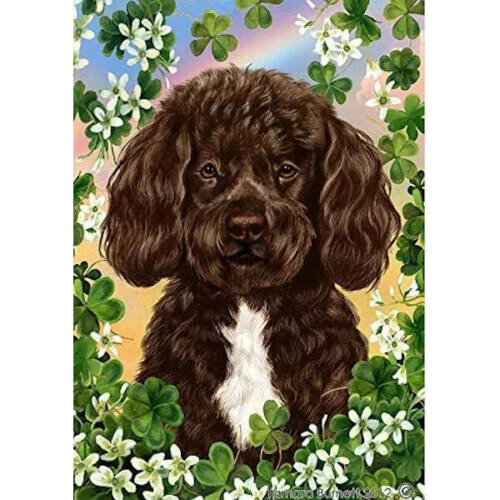Clover House Flag - Bearded Chocolate and White Portuguese Water Dog 31913