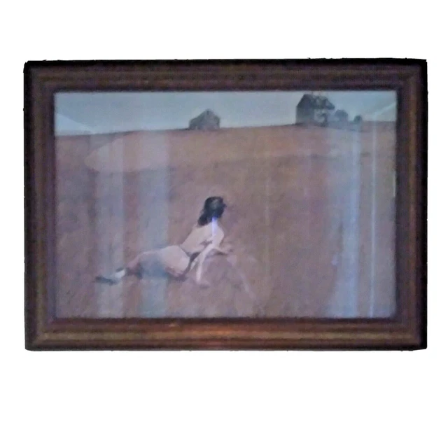 Andrew Wyeth Signed Christina's World FRAMED Art Americana Farm USA 30” X 21”