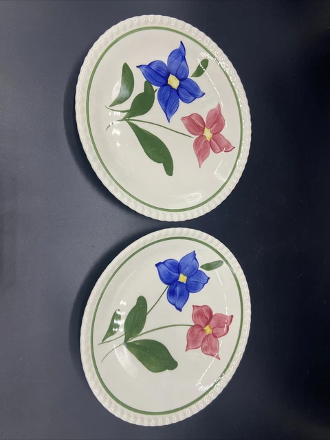 Pair VTG Blue Ridge Southern Potteries 9 1/4’’ Plates With Red And Blue Flowers