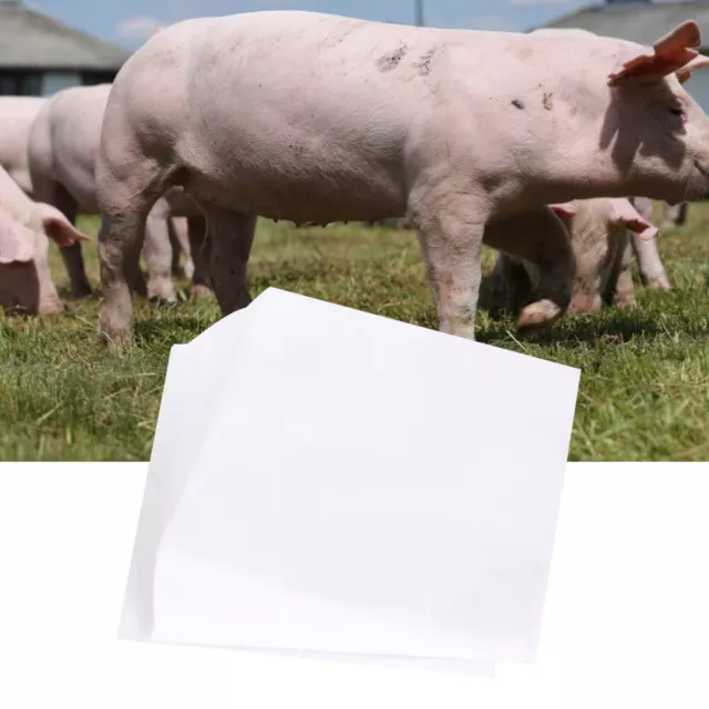 (100 PIEZAS) Filtro de dilución de semen de cerdo de forma cuadrada papel cerdo inseminado artificial Reino Unido