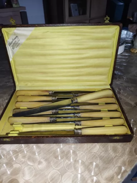 Ancien coffret de 12 couteaux Chambaron Paris manche en Corne 20 Ème