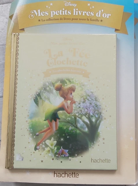 Figurine Fée Sur Pile De Livres – Résine – Envoi Gratuit – 2 Modèles Au Choix
