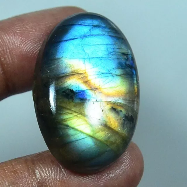 61.90Ct Schwarz Labradorite Natürlich Poliert Cabochon Lose Schmuckstein Für