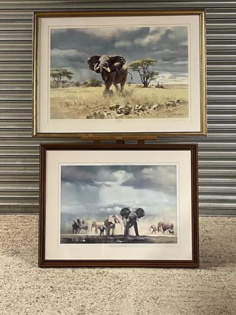 Pair of Large Framed and Glazed Elephant Prints, By The Artist Donald Grant