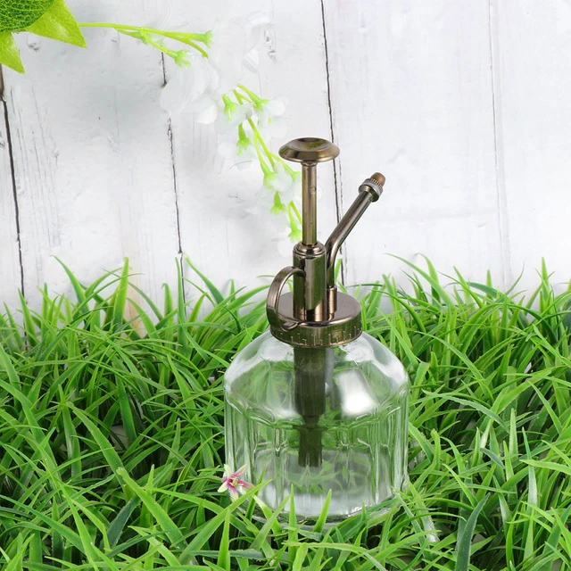 Wasserkocher Aus Glas Wasserkrug Blumensprüher Sprühflasche Zum Gießen