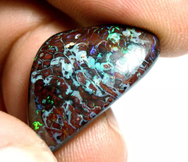 Cabochon opale masso 19,5 carati - Koroit Yowah Australia - splendido neon guarda video
