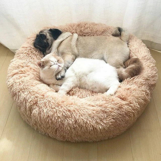 Lit pour chien de compagnie long en peluche très doux pour chat domestique