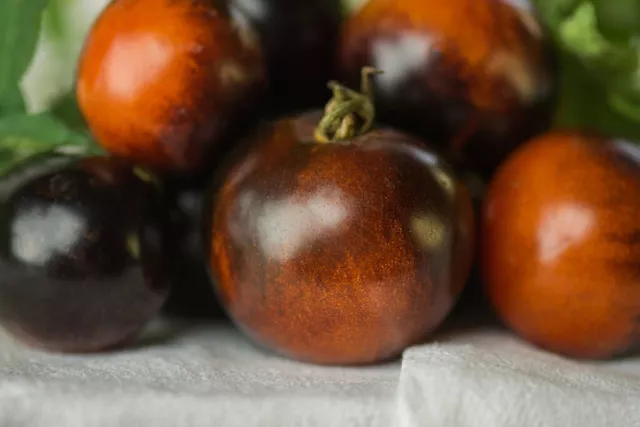 50 Graines non traitées de Tomate Cerise BLACK CHERRY cerise noire - délicieuse 2