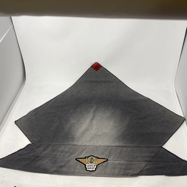 VINTAGE HOG LADIES Of Harley Davidson SKULL CAP Motorcycle Bandana Head