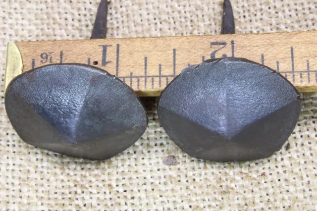 Two 1 1/2" Rosehead Nails Large Round 1 1/4” HEAD Clavos Blacksmith made vintage